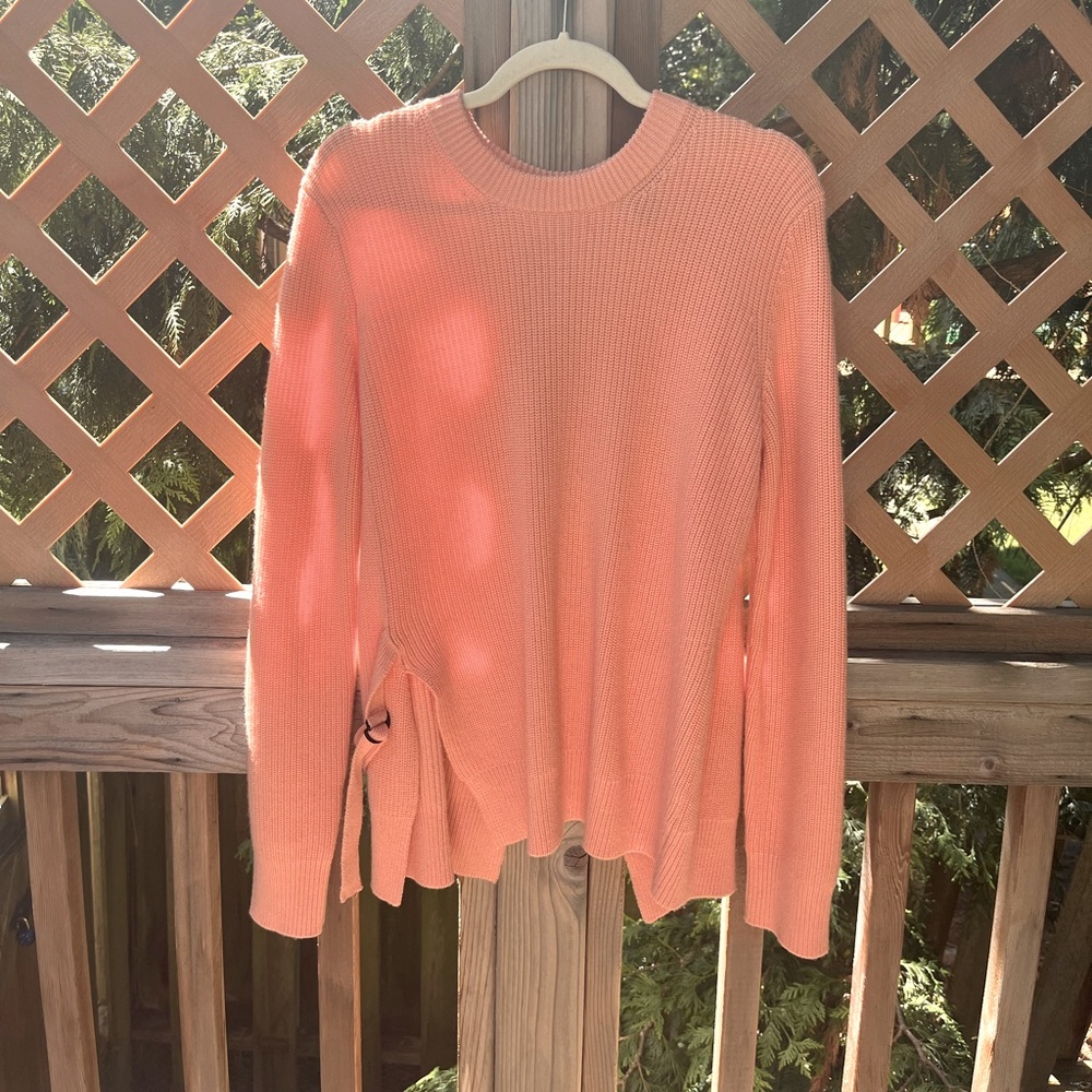 Proenza schouler sweater.